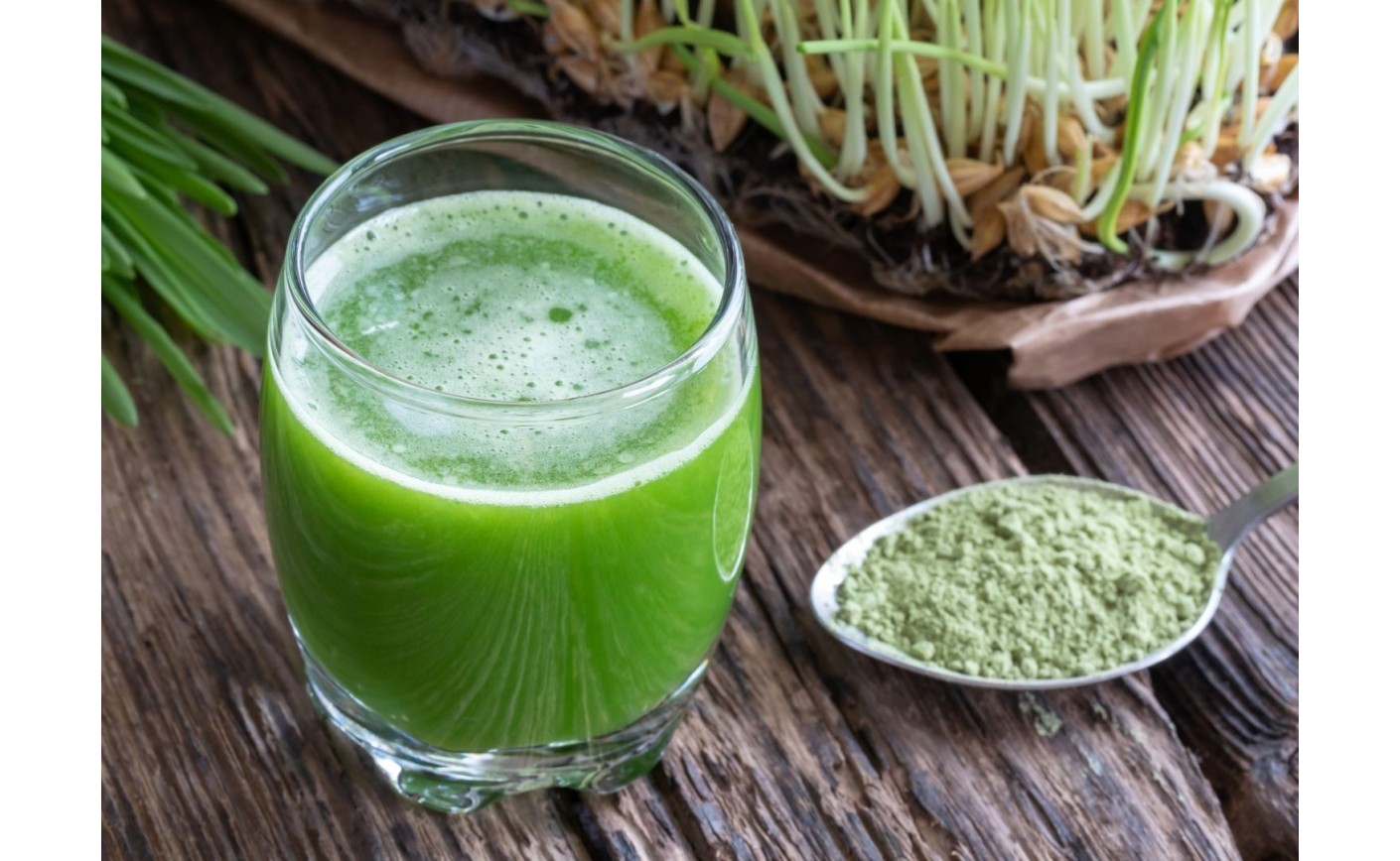 Młody jęczmień – naturalne wsparcie zdrowia, energii i detoksu