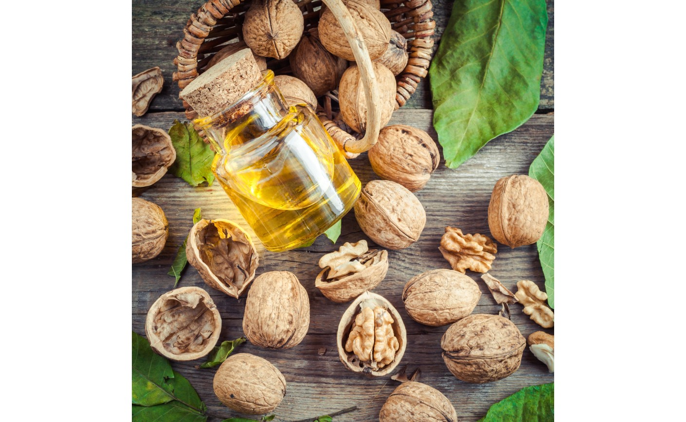 Olej z orzecha włoskiego – właściwości i zastosowanie