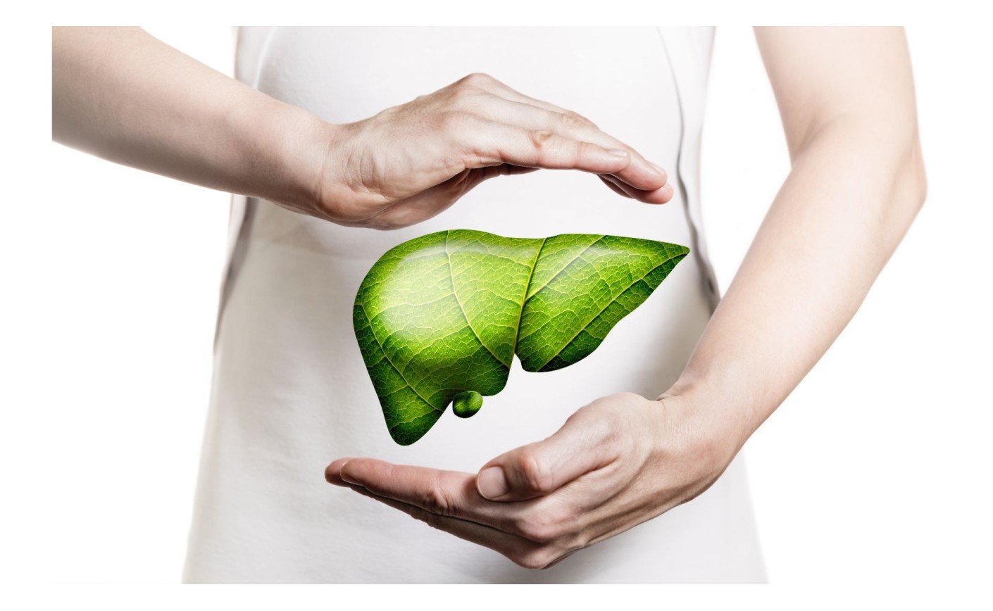 Jak naturalnie wspierać wątrobę? Zioła, dieta i codzienne nawyki